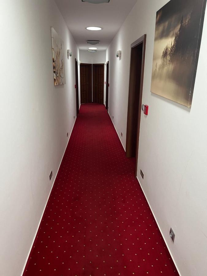 Hotel Krušnohorský Dvůr Cínovec Exteriér fotografie