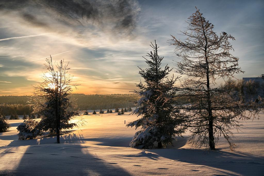 Hotel Krušnohorský Dvůr Cínovec Exteriér fotografie