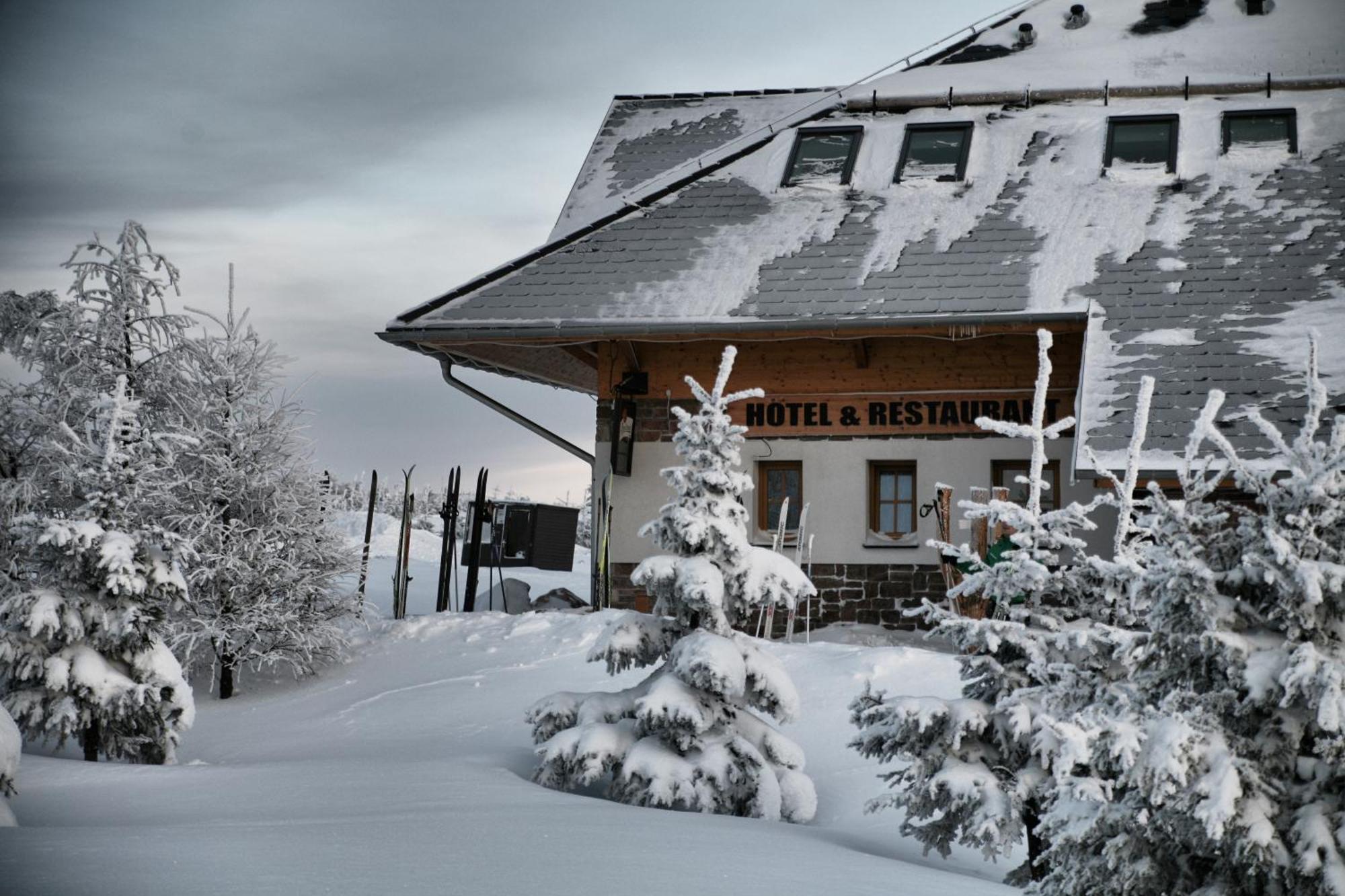 Hotel Krušnohorský Dvůr Cínovec Exteriér fotografie