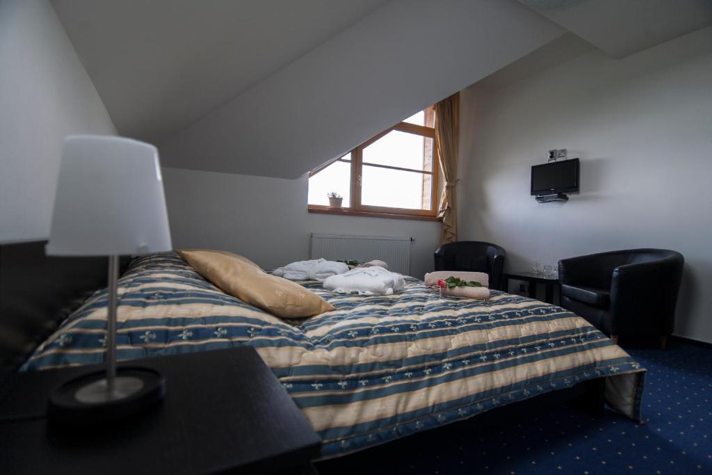 Hotel Krušnohorský Dvůr Cínovec Pokoj fotografie