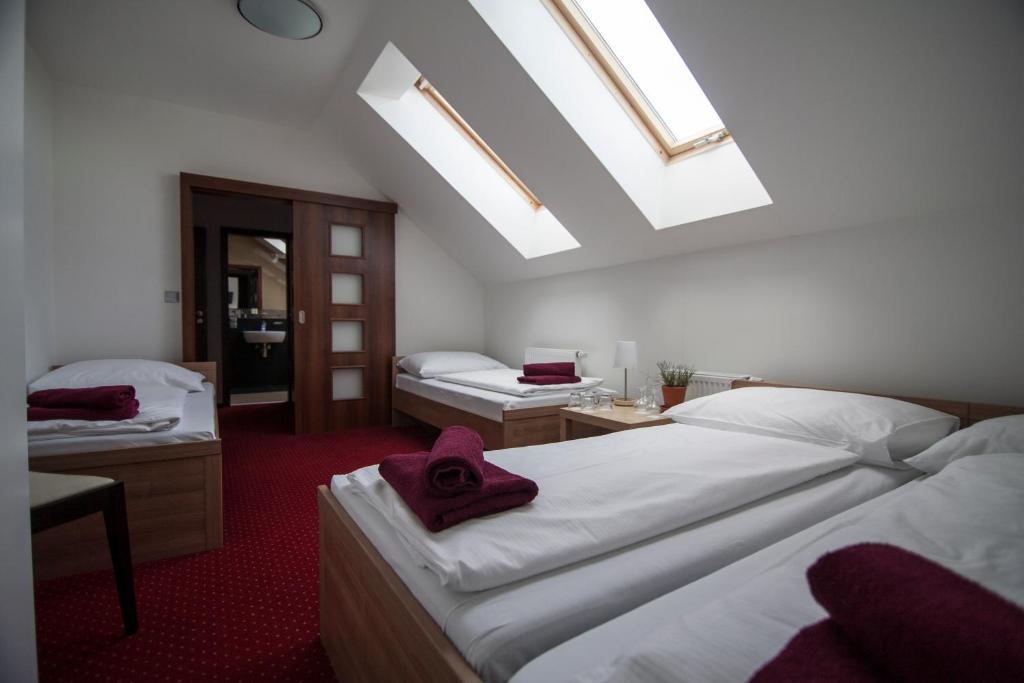 Hotel Krušnohorský Dvůr Cínovec Pokoj fotografie